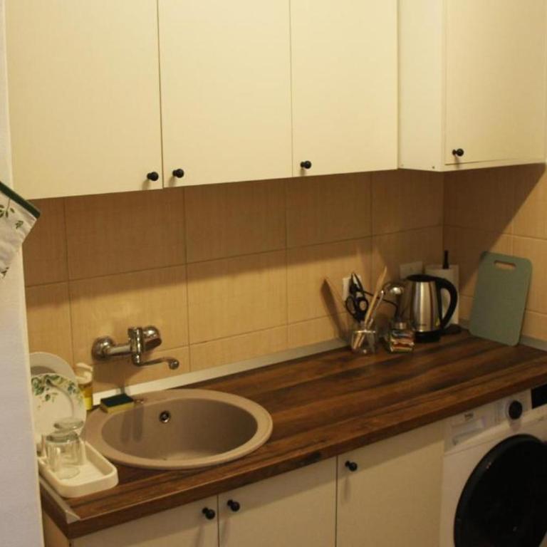 Gavrila Principa Apartment - Apartman sa 1 Spavaćom Sobom - 7