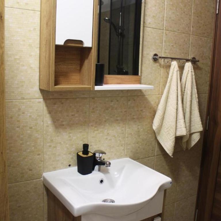 Gavrila Principa Apartment - Apartman sa 1 Spavaćom Sobom - 9