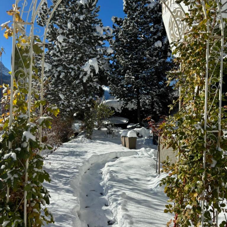 Chasa Tusa Scuol - Apartment mit Blick auf die Berge - 48