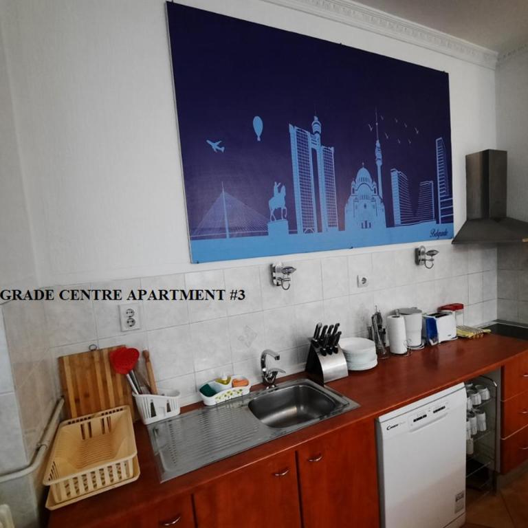 Authentic Belgrade Centre Apartments for large groups, Republic Square - Up to 39 people in 4 apartments - Apartman s 4 Spavaće Sobe i Terasom - 10