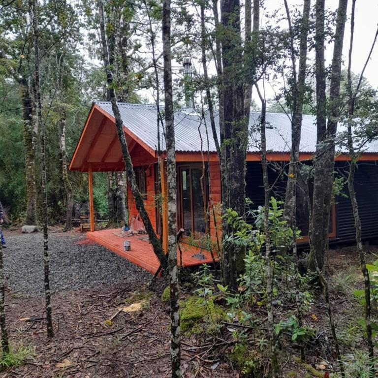 Riñihue - Casa de 2 dormitorios - 4