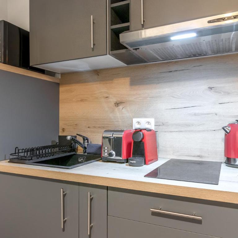 Lachenal - Centre - Navette de ski - Balcon - Studio - 8