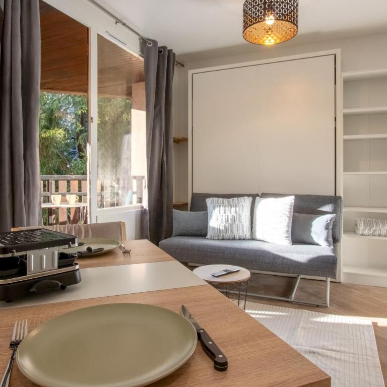 Lachenal - Centre - Navette de ski - Balcon - Studio - 1