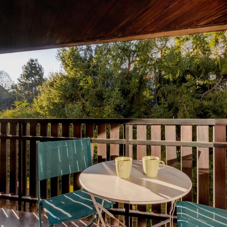 Lachenal - Centre - Navette de ski - Balcon - Studio - 2
