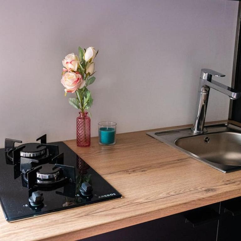Les Appart'Hôtels Du Calaisis - Pinky Terrasse 103 - Appartement 1 Chambre - 7