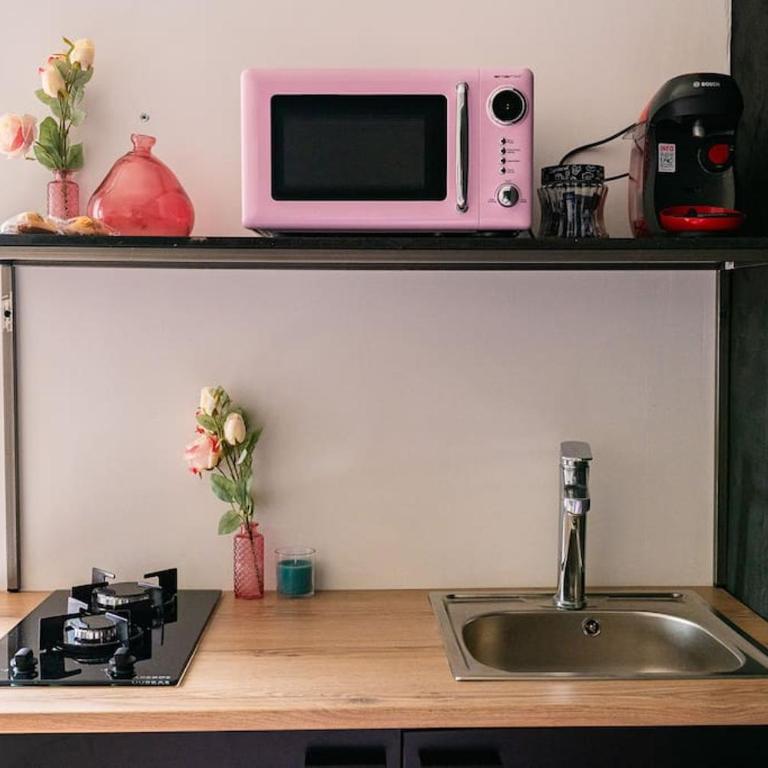 Les Appart'Hôtels Du Calaisis - Pinky Terrasse 103 - Appartement 1 Chambre - 29
