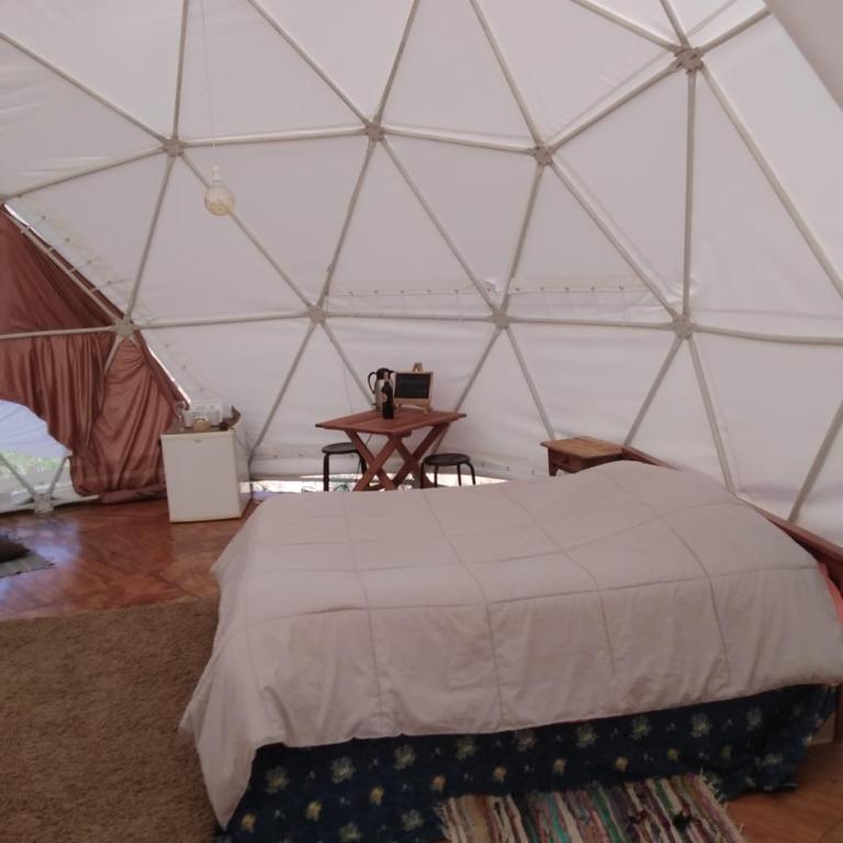 Domo Geodesico en Reserva Mundial de la Biosfera - One-Bedroom House - 17