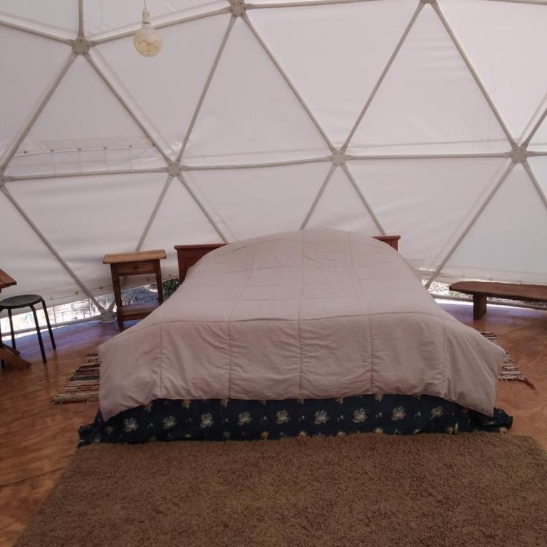 Domo Geodesico en Reserva Mundial de la Biosfera - One-Bedroom House - 19