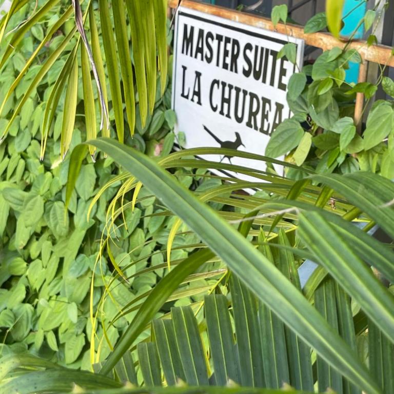 Casa Conicarit - Suite Deluxe - 10