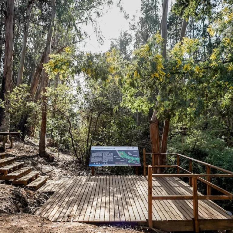 Reñaca I Nuevo I Luminoso I Circuito Trekking - Apartamento de 2 dormitorios con terraza - 36