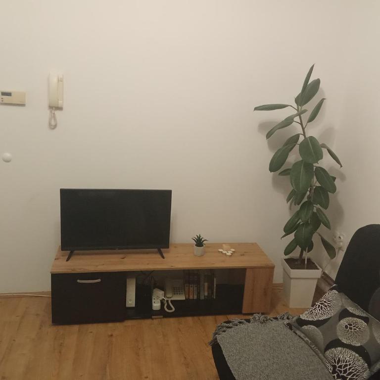 Apartmani Janićijević 1 - Two-Bedroom Apartment - 4