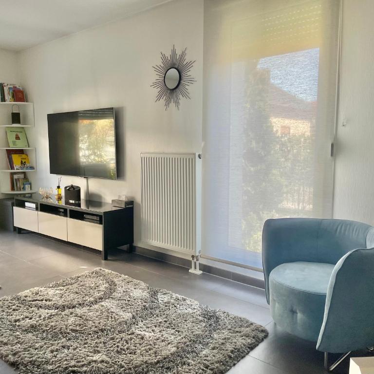 Robertsau, jardin en ville - One-Bedroom Apartment - 1