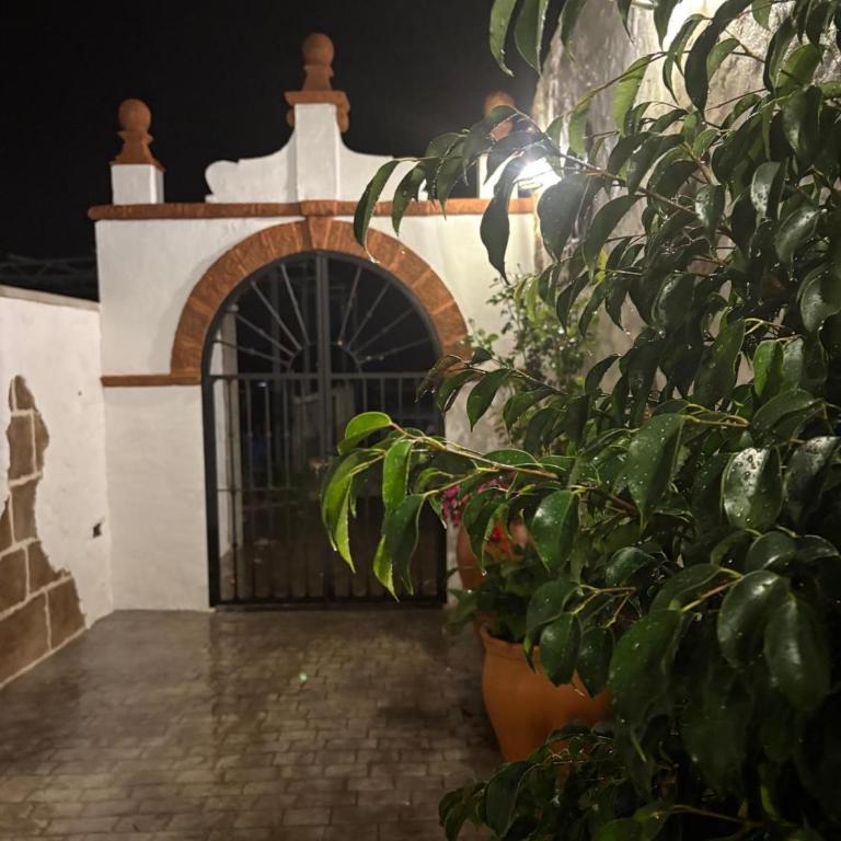 Villa jiguera - Apartamento de 2 dormitorios - 15