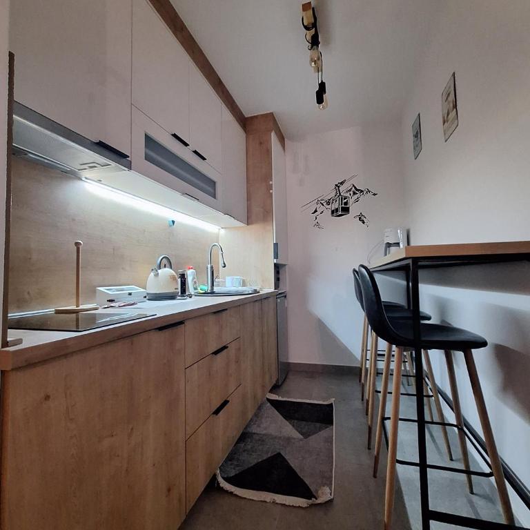Apartman Srna Pale - One-Bedroom Apartment - 41