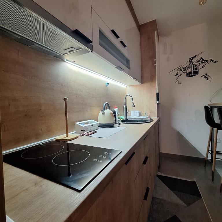 Apartman Srna Pale - One-Bedroom Apartment - 42