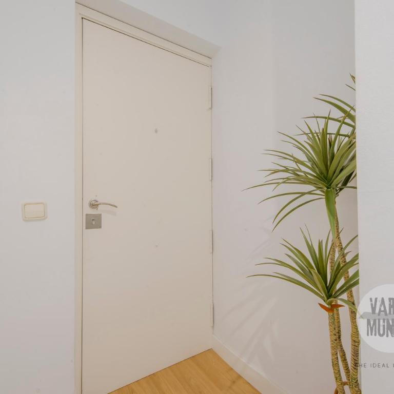 Descanso para 3 en Sol, ven a Concepción Jerónima - Apartamento - 6