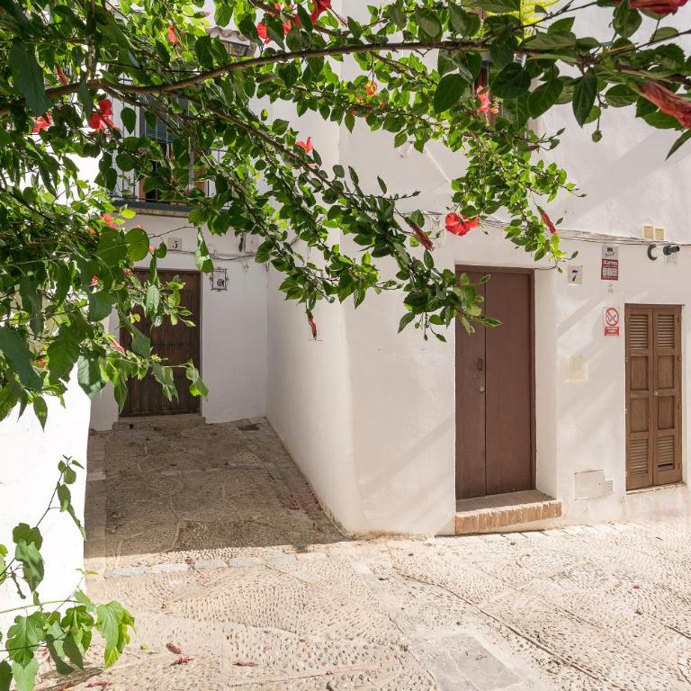 Pura Vida - Apartamento de 1 dormitorio - 30