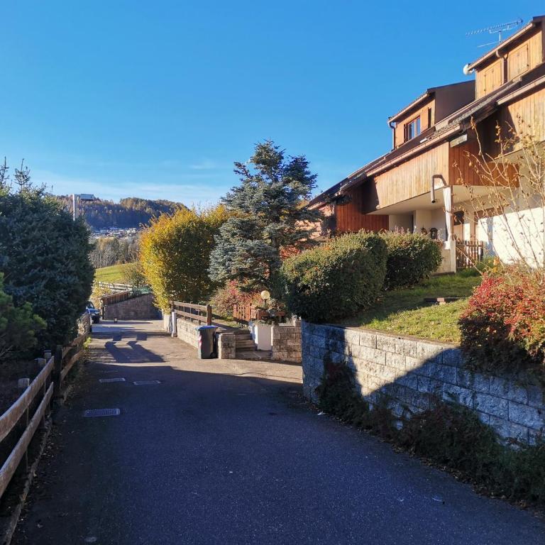 Chalet Genziana - Chalet mit 3 Schlafzimmern - 38