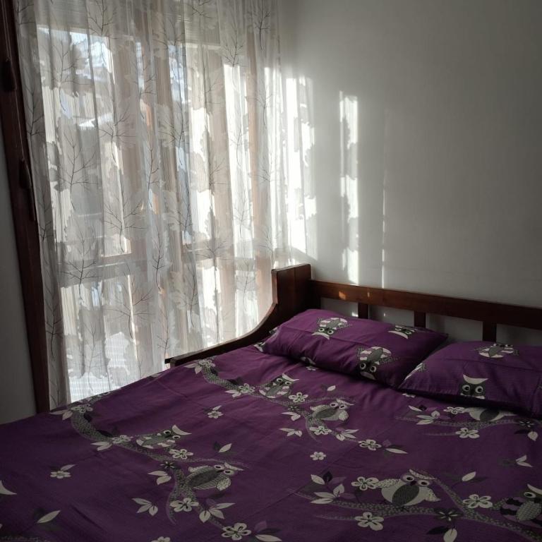 Aleksander ski apartment - Appartamento con 1 Camera da Letto - 2