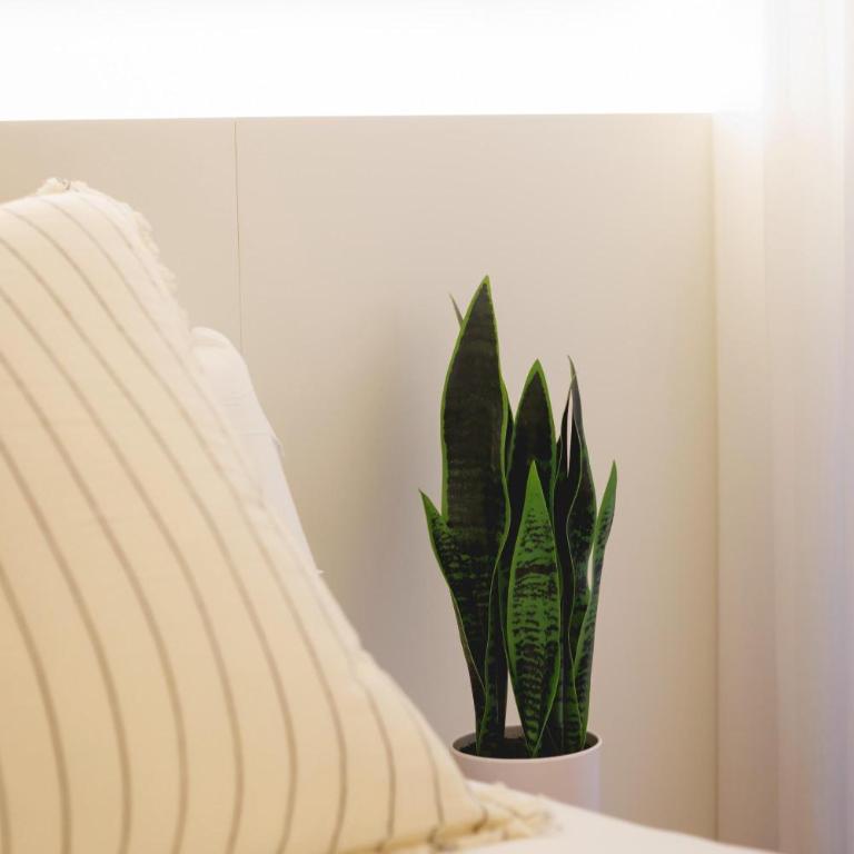 Bravissimo Pou Rodó, 2-bedroom and bike friendly - Apartamento de 2 dormitorios - 35