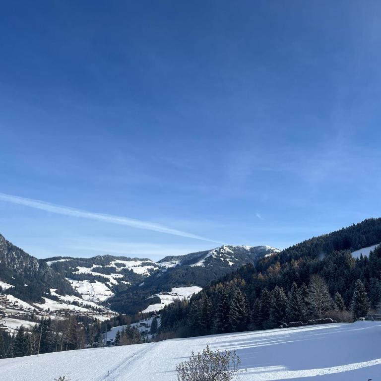 Ferienwohnung Thumerhof - Apartment mit Blick auf die Berge - 4