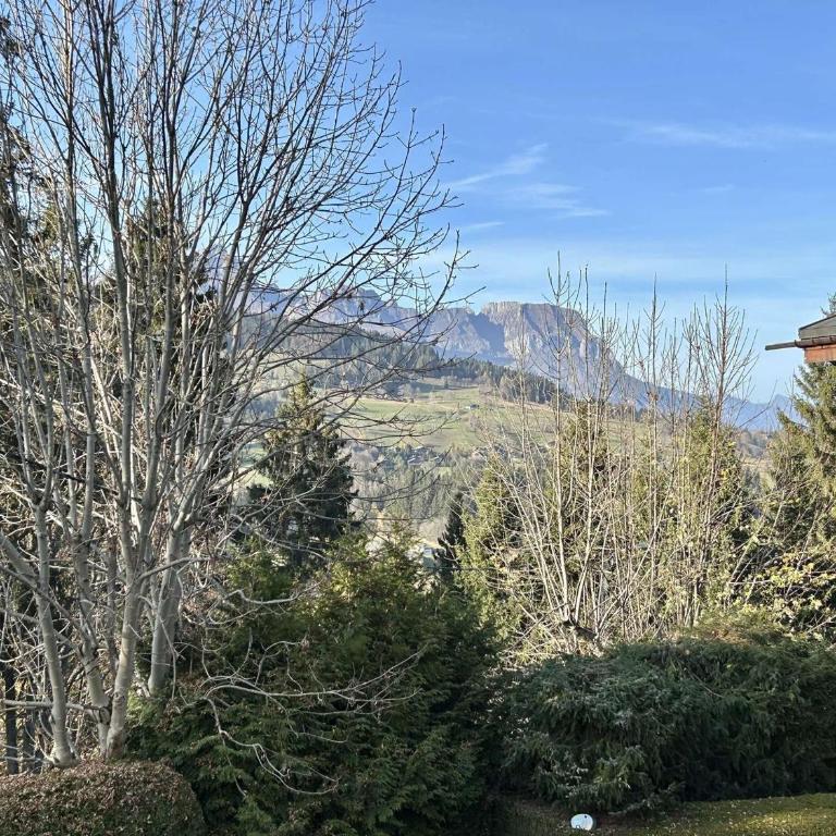 Appartement cosy à Megève: 3 pièces + mezzanine, 4 couchages - Proche remontées mécaniques et golf - FR-1-597-19 - Appartement (4 Adultes) - 11
