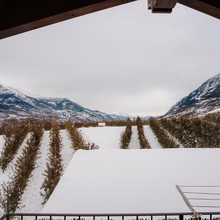 Aosta Holiday Apartments - Gressan - Appartamento con 1 Camera da Letto - 23
