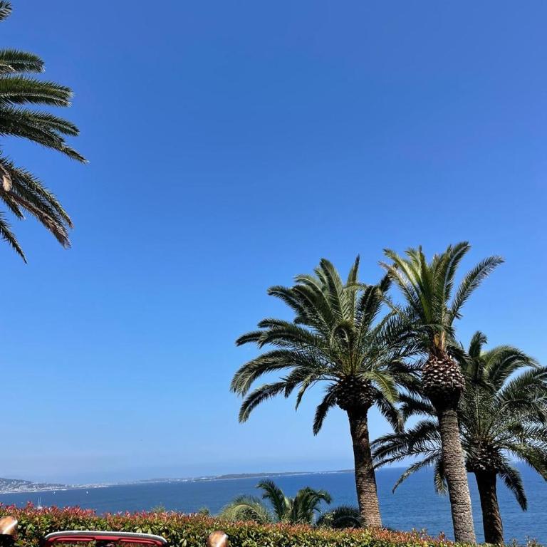 Azure Bliss at Port La Galère - Appartement 1 Chambre - 44
