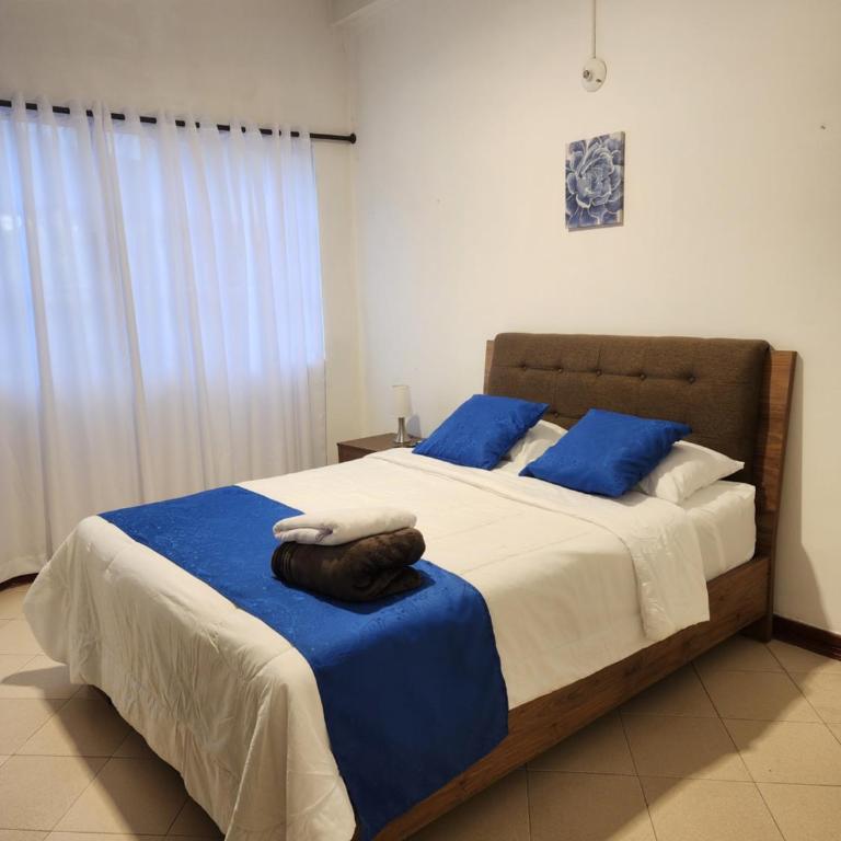 Casa contemporánea - Casa con 1 dormitorio - 17