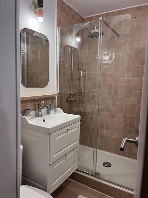 Magnifique logement plein centre face aux pistes - Appartement 1 Chambre - 18
