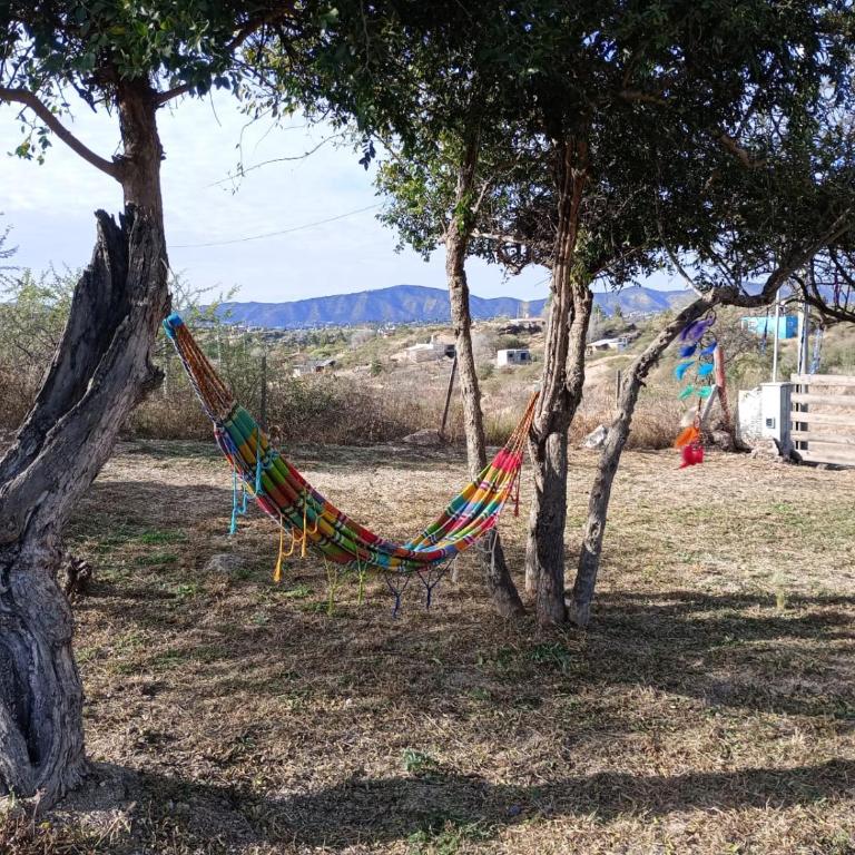 La Tacuarita - Apartamento de 1 dormitorio - 25