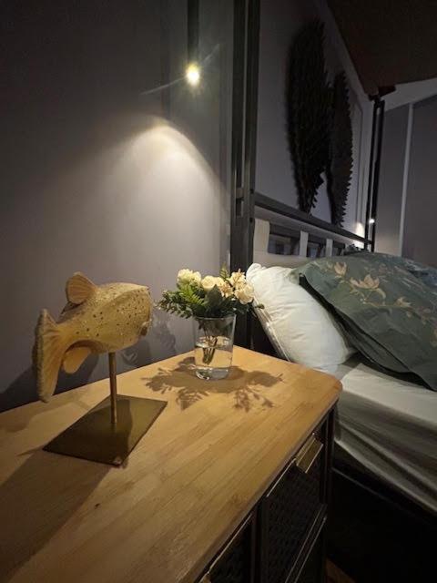 GATU Exótica , "preferente para mayores de 21 años y familias " - Apartamento de 2 dormitorios - 27