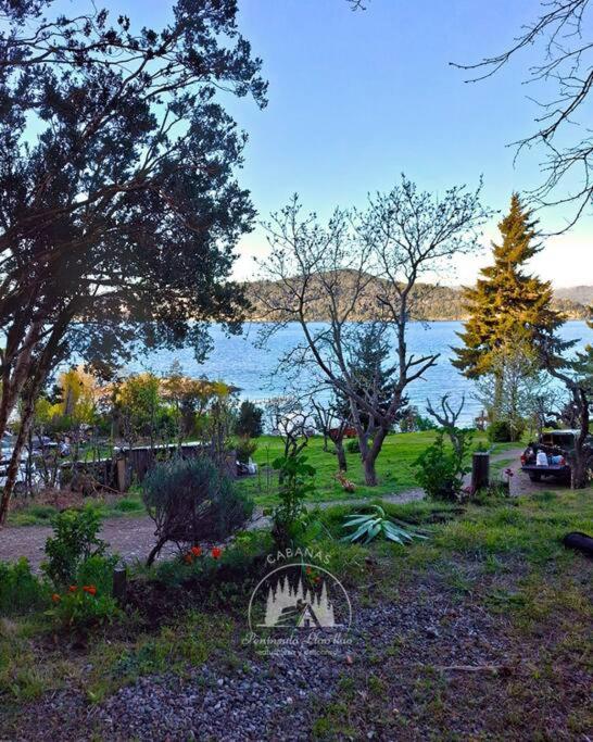 Cabaña Arrayan en el bosque con salida al lago - Chalet de 2 dormitorios - 1