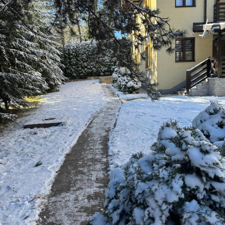 Apartmani Zlatibor Sofija - Apartman sa 1 Spavaćom Sobom - 17