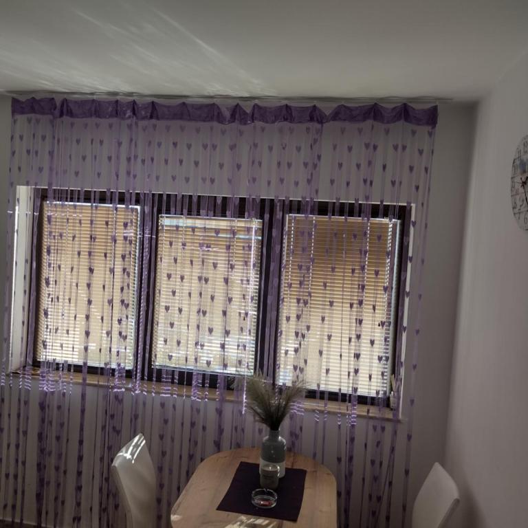 Apartman Aleksandra Zlatibor - Apartman sa 1 Spavaćom Sobom - 4