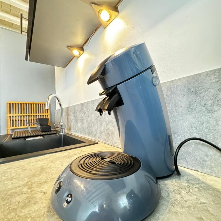 Loge de l'Opéra à 200 m du Palais des Papes - Apartment mit 1 Schlafzimmer - 12