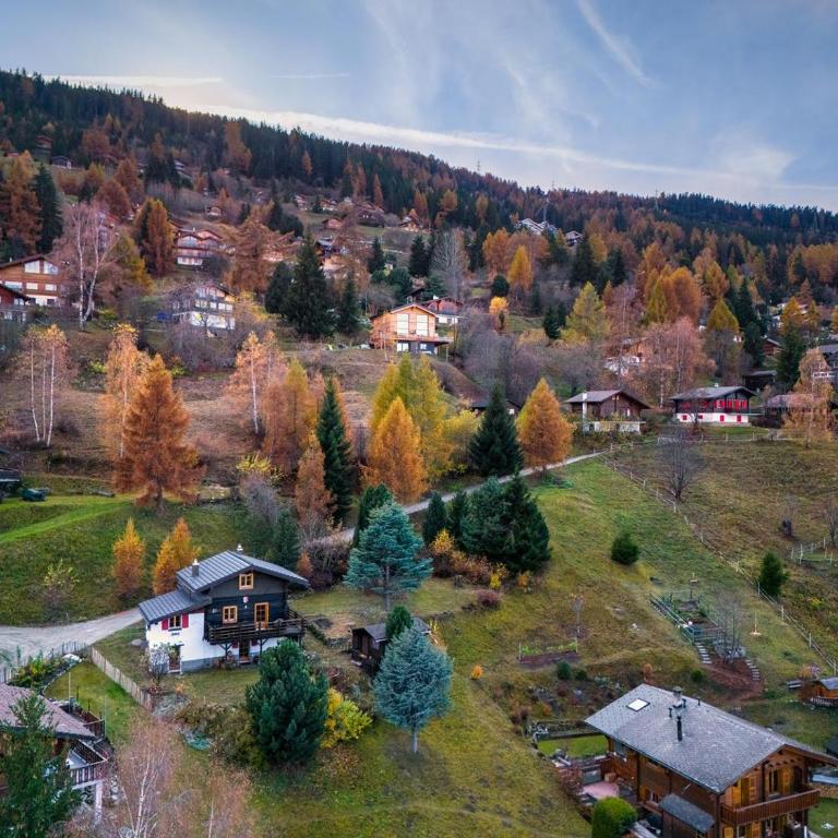 Chalet Les Aragnes Family chalet La Tzoumaz - Chalet - 15