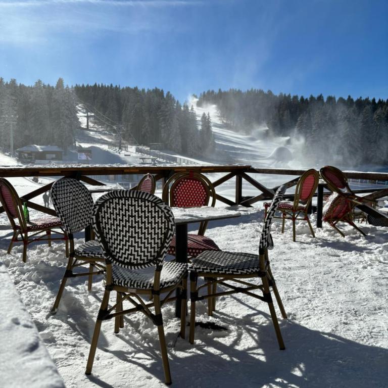 Apartman Maša Vidik Residance Kopaonik - One-Bedroom Apartment - 45