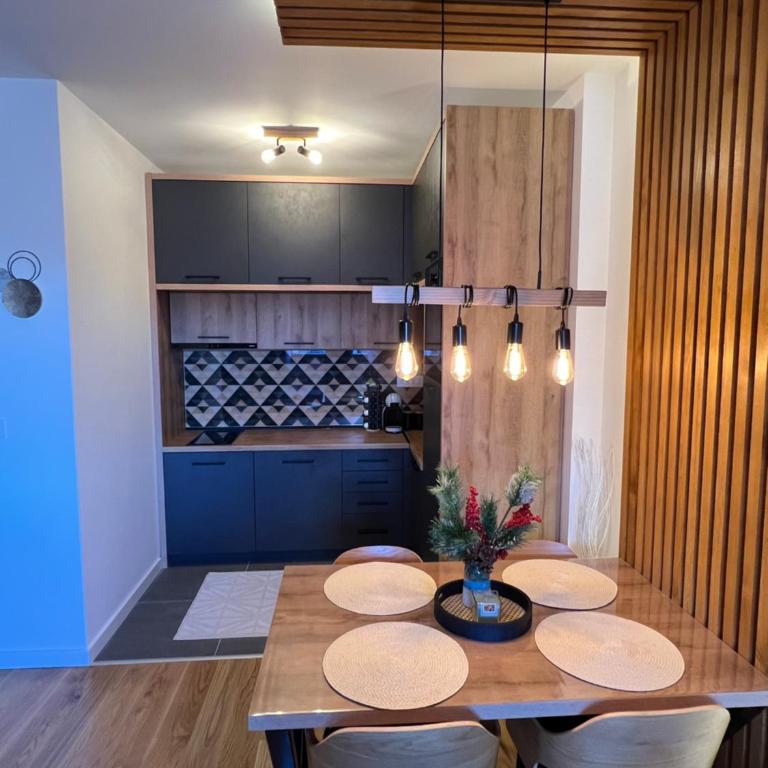 Apartman Maša Vidik Residance Kopaonik - One-Bedroom Apartment - 11