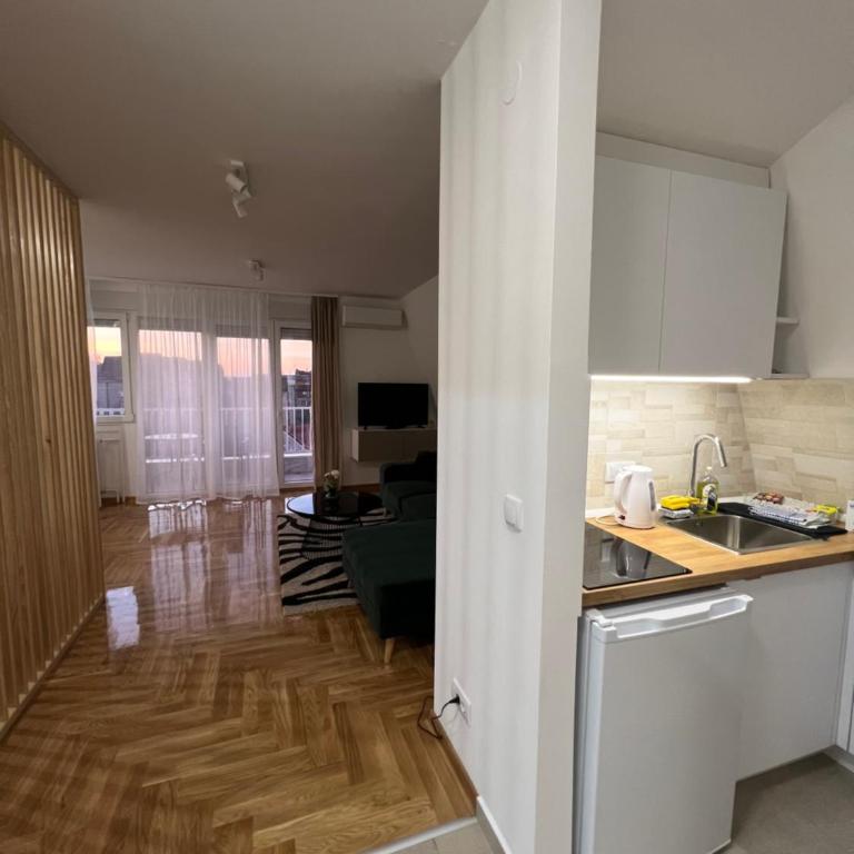 Dorcol Dream Apartment City View Terrace - Apartman sa 1 Spavaćom Sobom - 13
