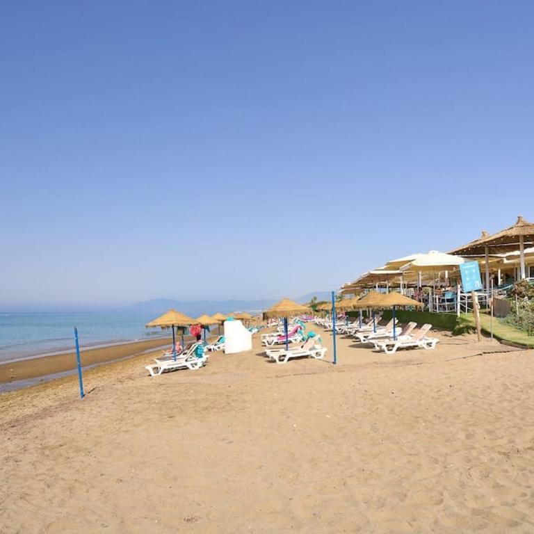 OleHolidays 821 Romana Playa frente al mar - Apartamento Estudio - 24