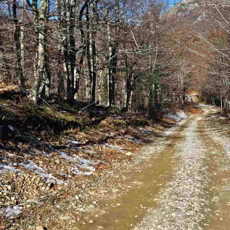 Wilderness Cabin - Brvnara sa 1 Spavaćom Sobom - 27
