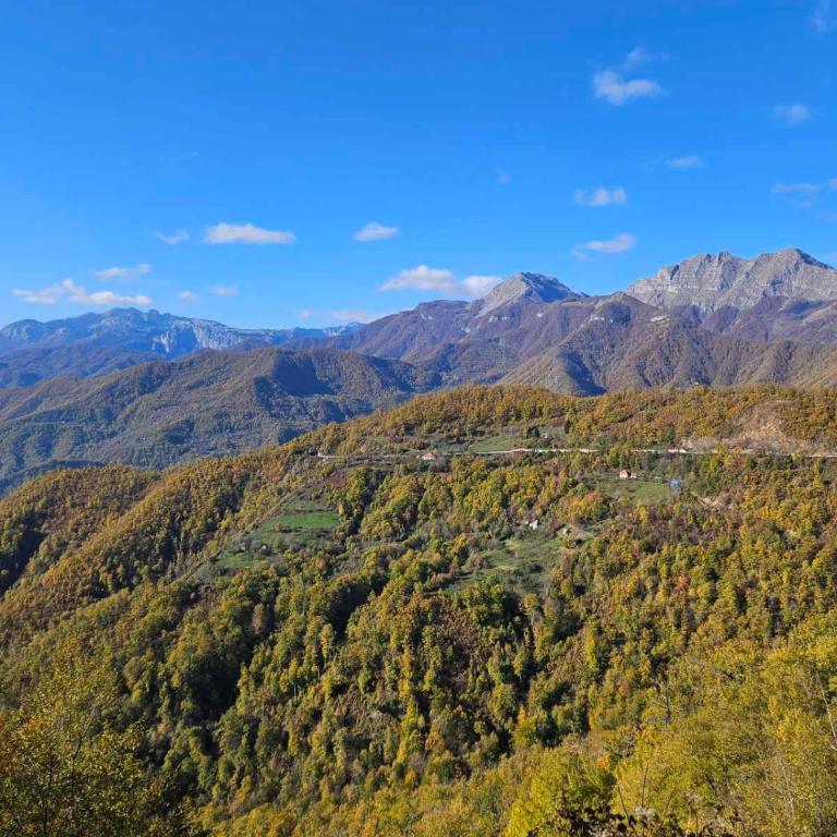 Wilderness Cabin - Brvnara sa 1 Spavaćom Sobom - 16
