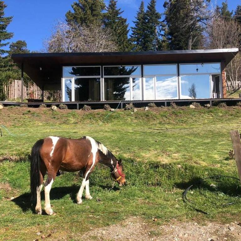 Cabaña Vintage a metros del lago - Chalet de 2 dormitorios - 4