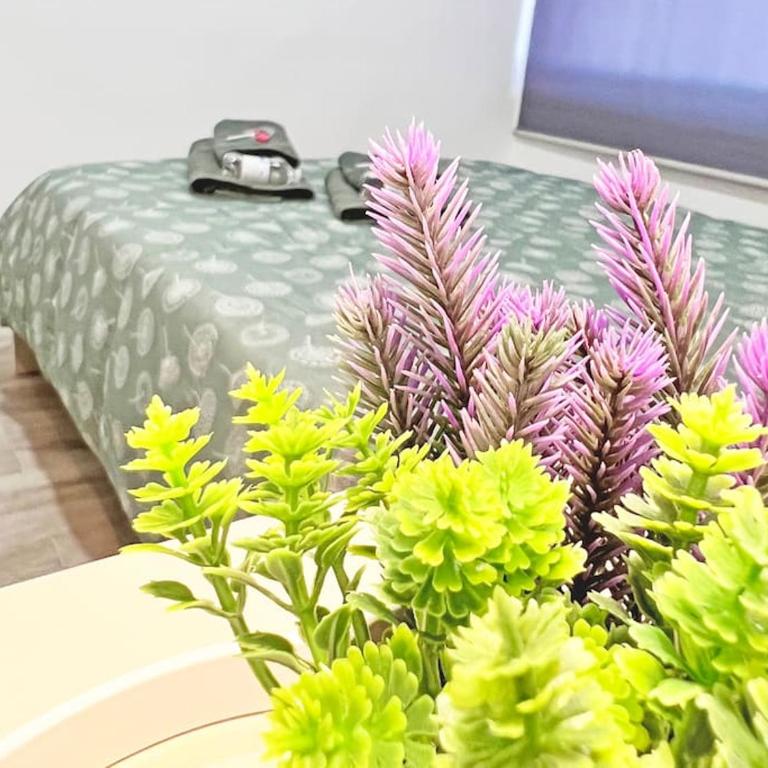 Apartamento Reformado 3 habitaciones AC - Apartamento de 3 dormitorios - 40