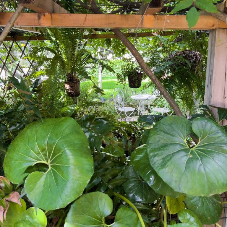 Villa La Rodina - Villa - 86