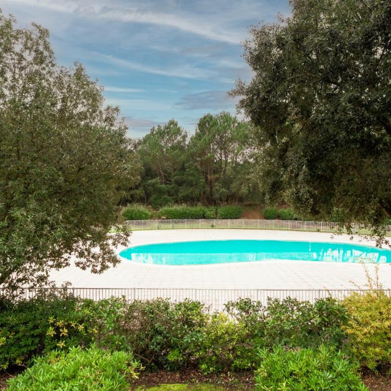 Les Pins dorés le petit nid douillet et cosy - Appartement 1 Chambre - 29
