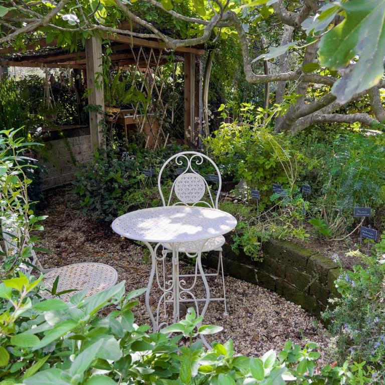 Villa Mimosa Diano Marina: exclusive use villa, garden, barbecue, 3 bedrooms and 3 bathrooms - Villa - 86