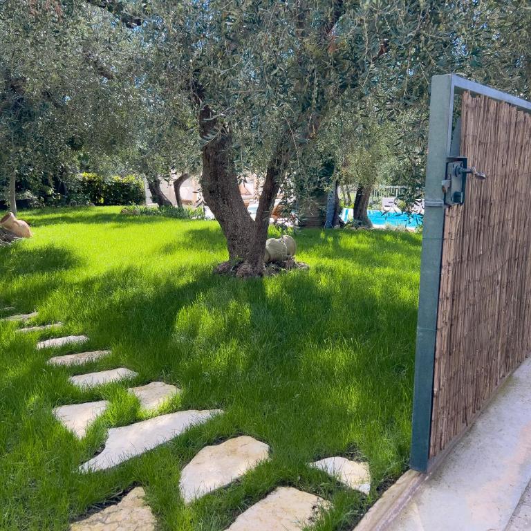 Villa Mimosa Diano Marina: exclusive use villa, garden, barbecue, 3 bedrooms and 3 bathrooms - Villa - 58