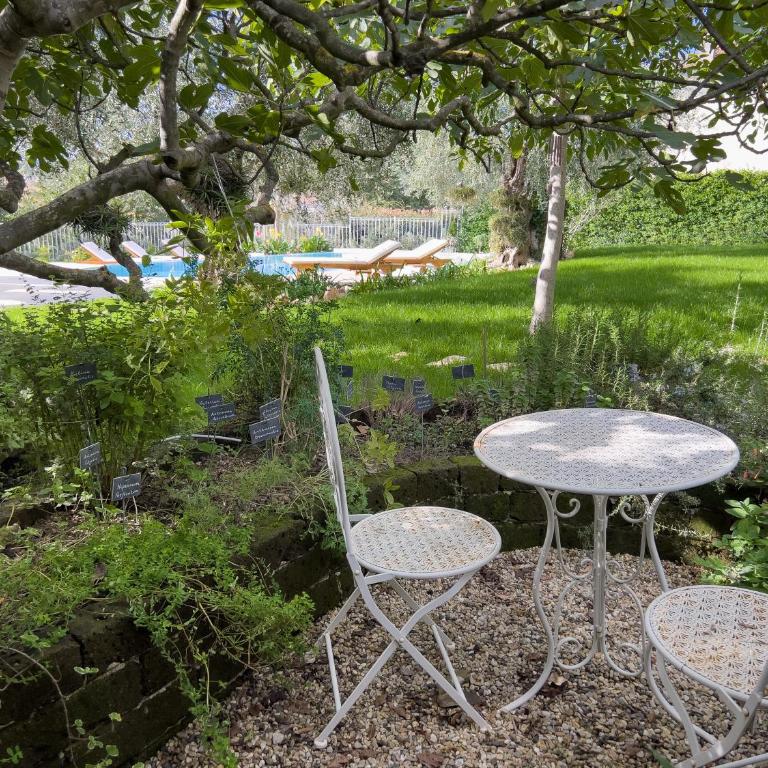 Villa Mimosa Diano Marina: exclusive use villa, garden, barbecue, 3 bedrooms and 3 bathrooms - Villa - 96